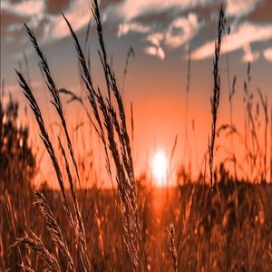 Meet your Posher, Hope